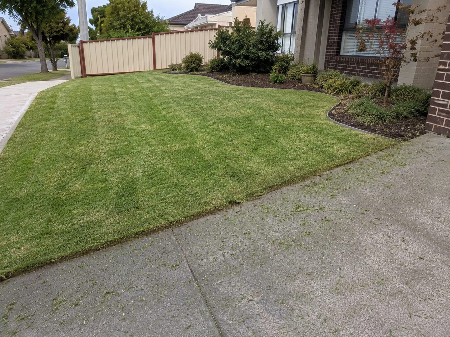 Freshly mown and striped lawn during a garden maintenance visit in Northcote